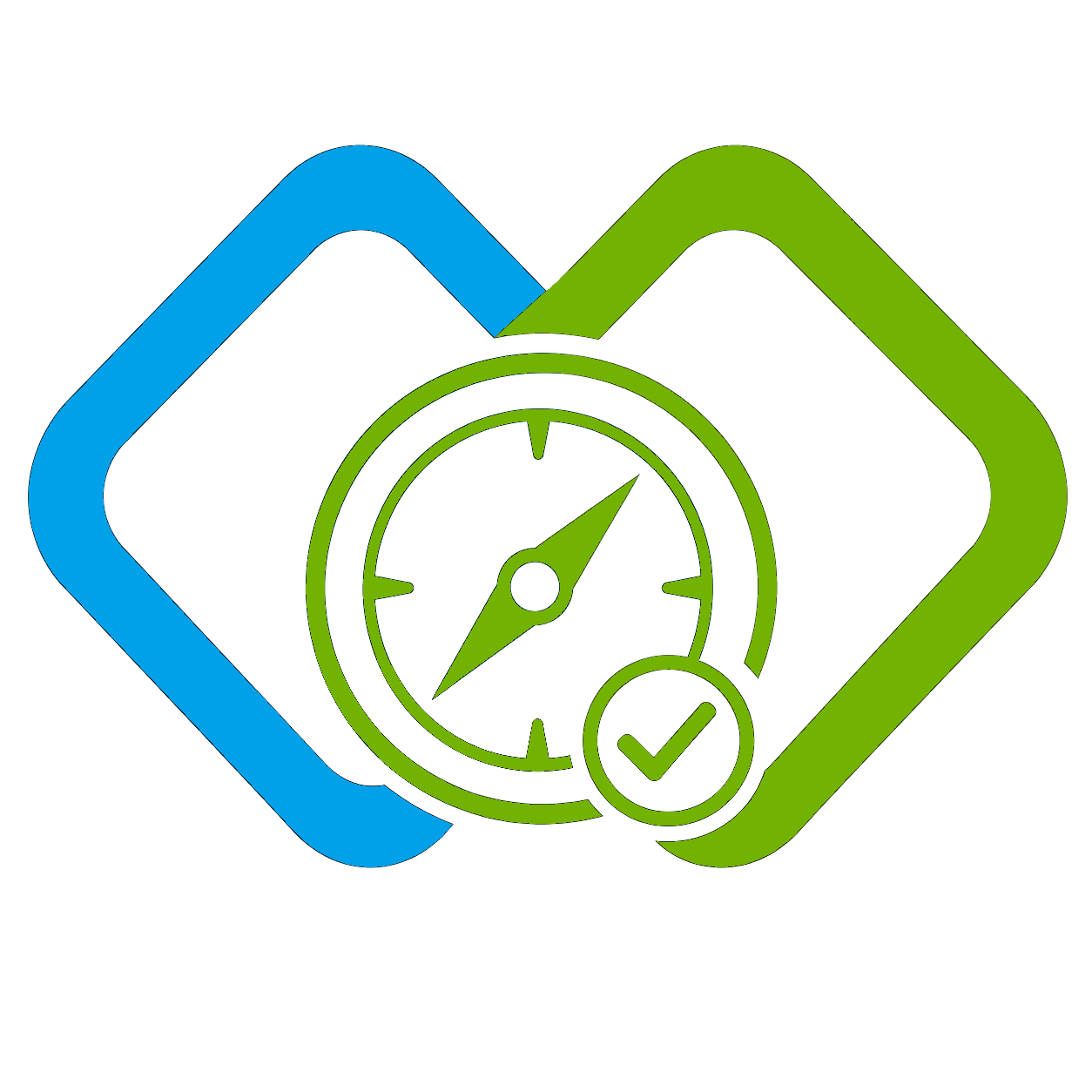 Strategy-transp TrueLink Strategy Ownership providing technology leadership, business alignment, and strategic direction.